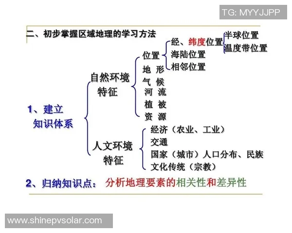 V5战队区域防守策略分析及其在比赛中的成效探讨